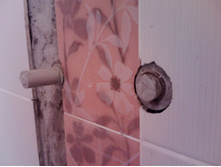 IMG1138A.jpg