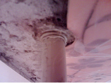 IMG1139A.jpg