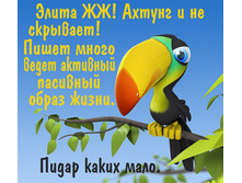 07.02.2010 18:51:39