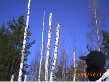 07.02.2010 22:38:07
