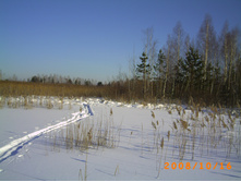 07.02.2010 22:39:17
