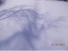 DSCN1959.JPG