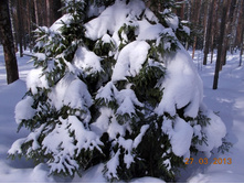 DSCN1961.JPG