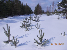 DSCN1964.JPG