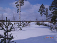 DSCN1966.JPG