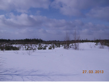 DSCN1973.JPG