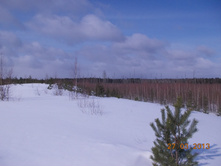 DSCN1974.JPG