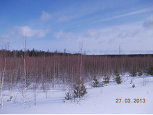 DSCN1976.JPG