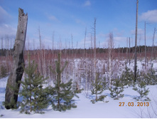 DSCN1983.JPG