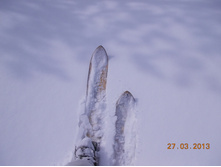 DSCN1991.JPG