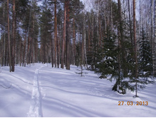 DSCN2005.JPG