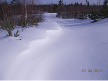 DSCN2018.JPG