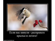 12.02.2010 0:58:46