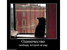 12.02.2010 0:58:46