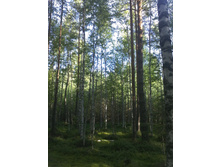 IMG_20120706_073924.jpg