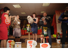 DSC_7501.JPG