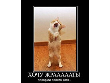 getImage (30).jpg