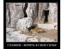 download (2).jpg