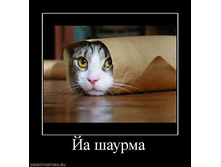 getImage (8).jpg
