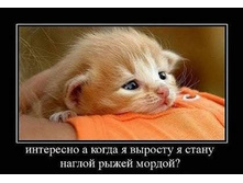 getImage (16).jpg