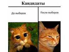 getImage (18).jpg