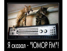 getImage (19).jpg