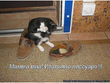 getImage (20).jpg
