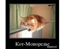 getImage (24).jpg