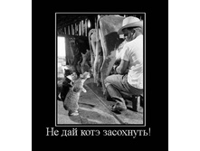 getImage (27).jpg