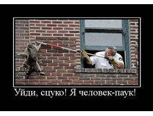 getImage (29).jpg