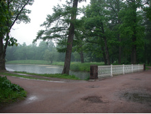 IMGP0145