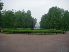 IMGP0154