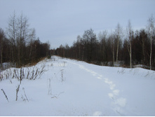14.02.2010 19:21:57