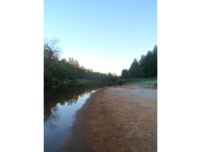 SAM_0958.JPG