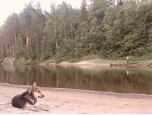 SAM_0944.JPG