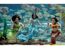 16.02.2010 8:38:55