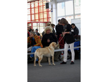IMG_0923.JPG