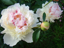DSC01024.JPG