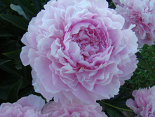 DSC04862.JPG