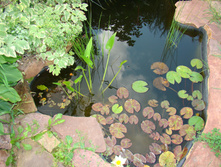 DSC01530.JPG