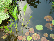 DSC01531.JPG