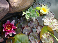 DSC02766.JPG