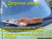 kotomatritsa_mj.jpg