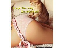 kotomatritsa_s��.jpg