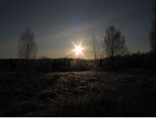 18.02.2010 16:28:25