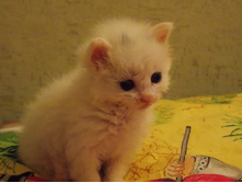 DSCN0015.jpg