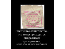 19.02.2010 9:01:28