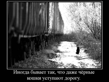 19.02.2010 9:01:40