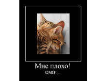 19.02.2010 9:02:39