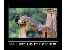 19.02.2010 9:02:51